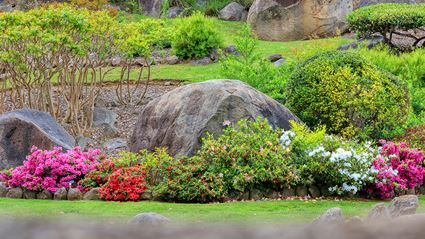 Japanese Garden - Cowra 